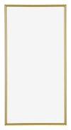 Annecy Plastic Photo Frame 45x80cm Gold Front | Yourdecoration.co.uk