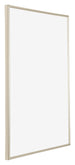 Annecy Plastic Photo Frame 48x68cm Champagne Front Oblique | Yourdecoration.co.uk