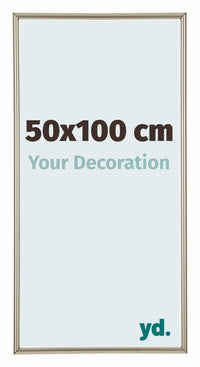 Annecy Plastic Photo Frame 50x100cm Champagne Front Size | Yourdecoration.co.uk