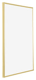 Annecy Plastic Photo Frame 59x84cm Gold Front Oblique | Yourdecoration.co.uk