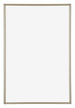 Annecy Plastic Photo Frame 60x85cm Champagne Front | Yourdecoration.co.uk