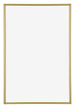 Annecy Plastic Photo Frame 60x90cm Gold Front | Yourdecoration.co.uk