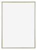 Annecy Plastic Photo Frame 70x100cm Champagne Front | Yourdecoration.co.uk