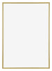 Annecy Plastic Photo Frame 70x100cm Gold Front | Yourdecoration.co.uk