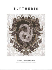 Art Print Harry Potter Slytherin 30x40cm Pyramid PPR54401 | Yourdecoration.co.uk