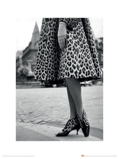 Art Print Time Life Dior Leopard print 30x40cm Pyramid PPR44240 | Yourdecoration.co.uk