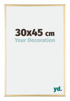 Austin Aluminium Photo Frame 30x45cm Gold High Gloss Front Size | Yourdecoration.co.uk