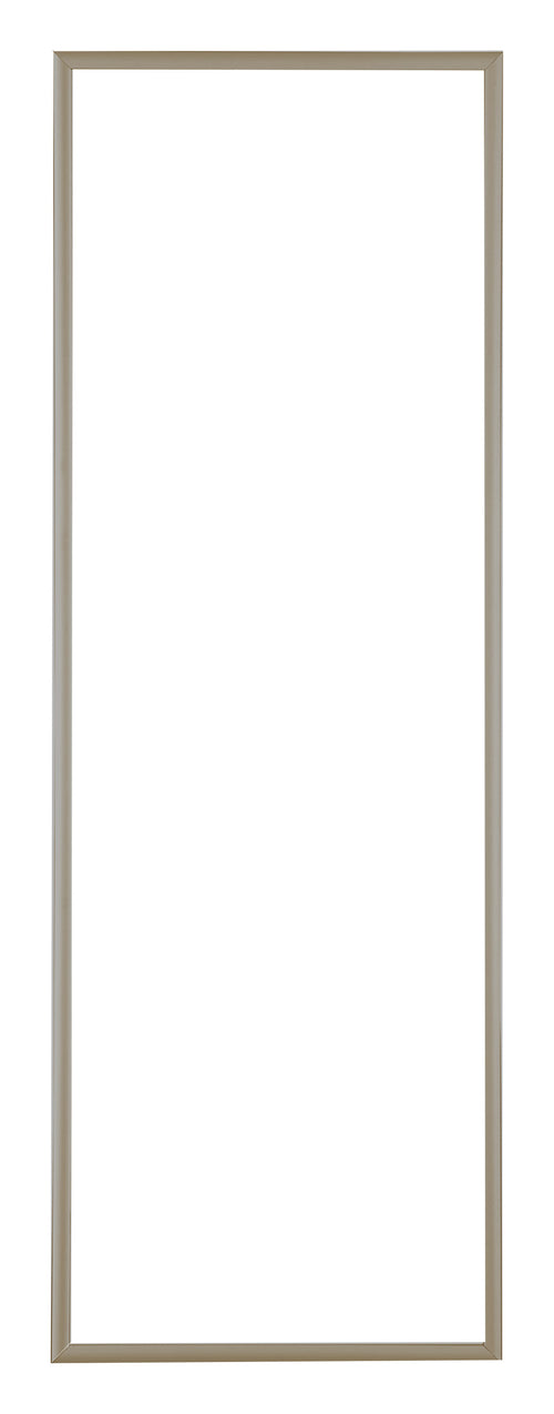 Austin Aluminium Photo Frame 33x98cm Champagne Front | Yourdecoration.co.uk