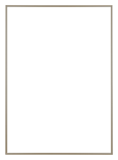 Austin Aluminium Photo Frame 59 4x84cm A1 Champagne Front | Yourdecoration.co.uk