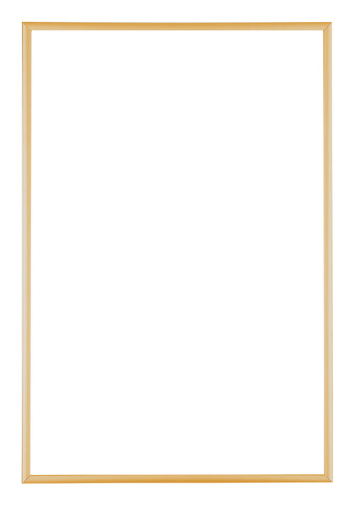 Austin Aluminium Photo Frame 60x85cm Gold Vintage Front | Yourdecoration.co.uk