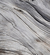 Dimex Tree Texture Wall Mural 225x250cm 3 Panels | Yourdecoration.co.uk