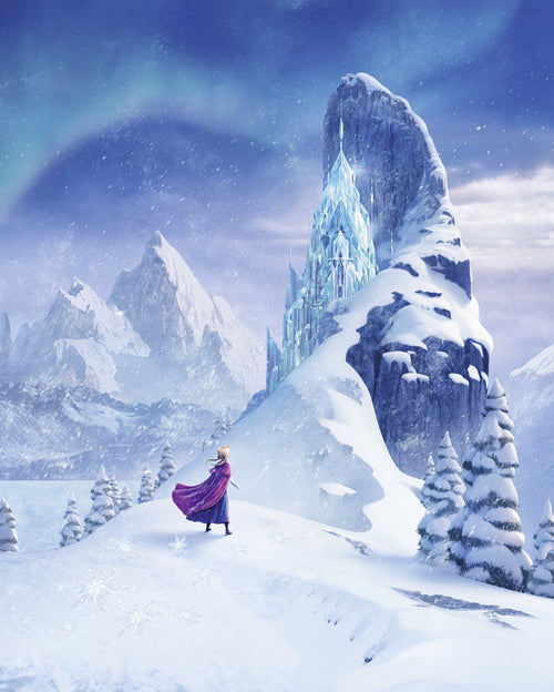 Disney Frozen Ice Castle Wall Mural DX4 206 | Yourdecoration.co.uk