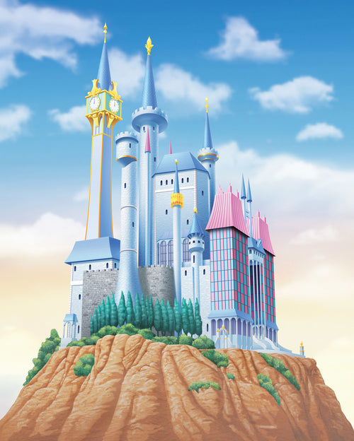 Disney Princess Cinderella Castle Wall Mural DX4 233 | Yourdecoration.co.uk
