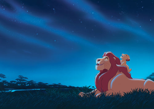 Disney The Lion King Stargazing Wall Mural DX7 197 | Yourdecoration.co.uk