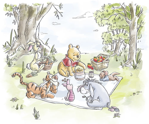 Disney Winnie the Pooh Nice for Picnics Wall Mural DX6 217 | Yourdecoration.co.uk