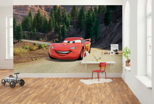 Disney and Pixar Cars Every Road Has A Story Interior Wall Mural DX8 248 | Yourdecoration.co.uk