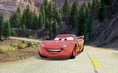 Disney and Pixar Cars Every Road Has A Story Wall Mural DX8 248 | Yourdecoration.co.uk