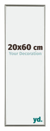 Evry Plastic Photo Frame 20x60cm Champagne Front Size | Yourdecoration.co.uk