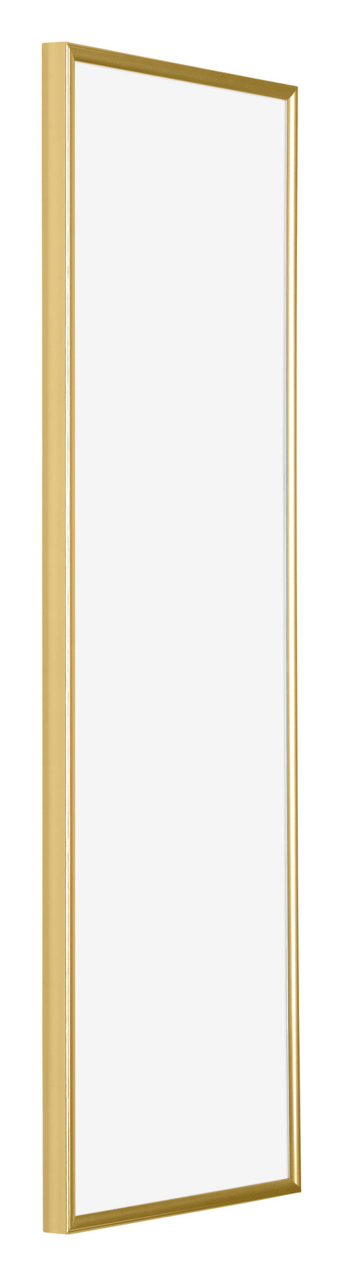 Evry Plastic Photo Frame 20x60cm Gold Front Oblique | Yourdecoration.co.uk