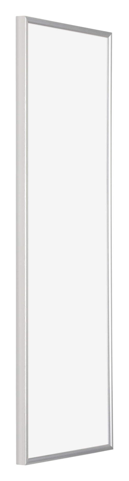 Evry Plastic Photo Frame 20x60cm Silver Front Oblique | Yourdecoration.co.uk