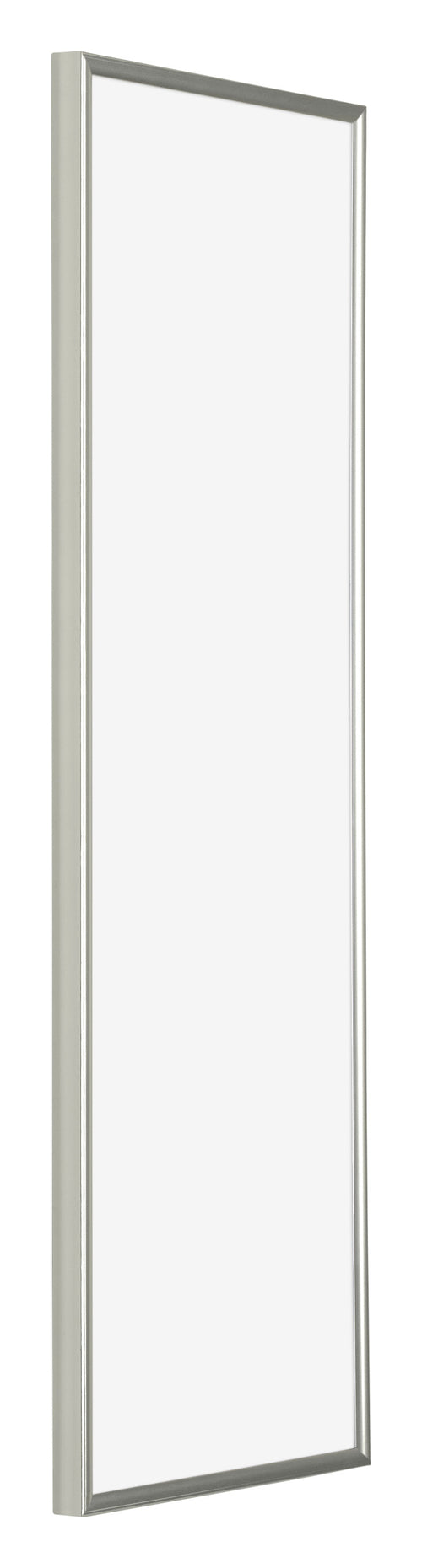 Evry Plastic Photo Frame 25x75cm Champagne Front Oblique | Yourdecoration.co.uk