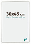 Evry Plastic Photo Frame 30x45cm Champagne Front Size | Yourdecoration.co.uk