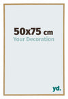 Evry Plastic Photo Frame 50x75cm Beech Light Front Size | Yourdecoration.co.uk