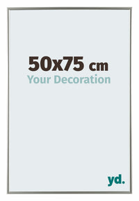 Evry Plastic Photo Frame 50x75cm Champagne Front Size | Yourdecoration.co.uk