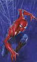 Marvel Spider Man Spider Wall Mural DX3 210 | Yourdecoration.co.uk