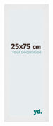 Mura MDF Photo Frame 25x75cm Aluminum Brushed Front Size | Yourdecoration.co.uk