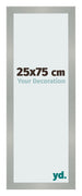 Photo Frame 25x75cm Aluminum Brushed MDF Bologna Front Size | Yourdecoration.co.uk