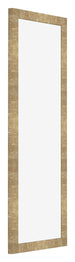 Photo Frame 25x75cm Gold Antique MDF Bologna Front Oblique | Yourdecoration.co.uk
