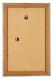 Photo Frame 30x50cm Gold Antique MDF Lazio Back | Yourdecoration.co.uk