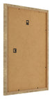 Photo Frame 55x65cm Gold Antique MDF Bologna Back Oblique | Yourdecoration.co.uk