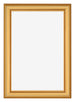 Photo Frame 60x85cm Gold Matte MDF Lazio Front | Yourdecoration.co.uk