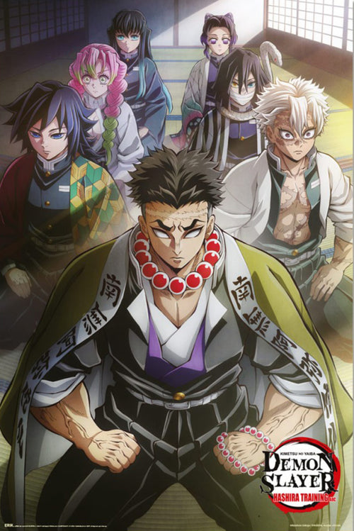 Poster Demon Slayer Hashira Training 1 61x91 5cm GPE6072 | Yourdecoration.co.uk