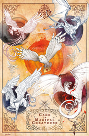 Poster Harry Potter Magical Creatures 61x91 5cm GBYDCOA031 | Yourdecoration.co.uk