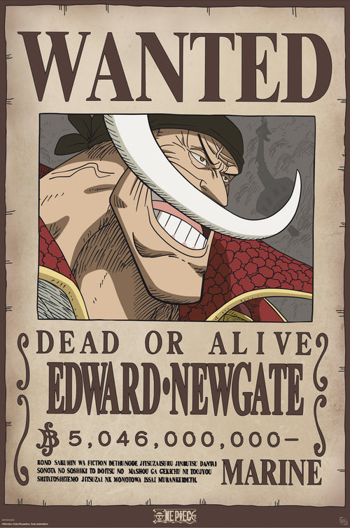 Poster One Piece Wanted Whitebeard 61x91 5cm GBYDCO596 | Yourdecoration.co.uk