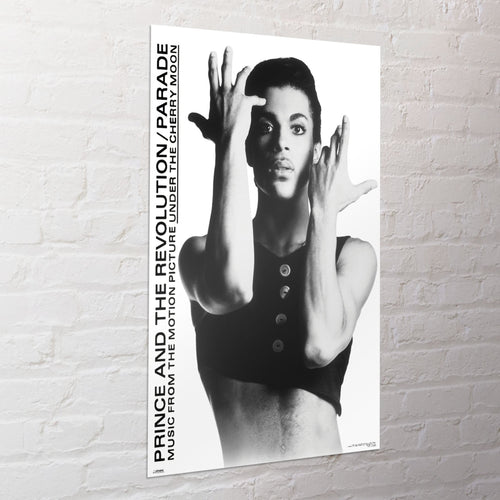 Poster Prince 61x91 5cm WPSX056 Sfeer | Yourdecoration.co.uk