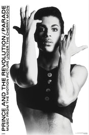 Poster Prince 61x91 5cm WPSX056 | Yourdecoration.co.uk