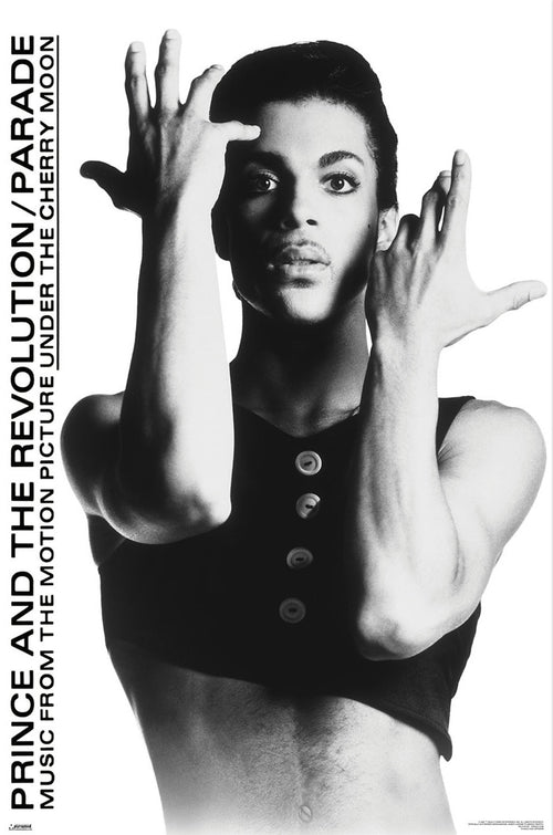 Poster Prince 61x91 5cm WPSX056 | Yourdecoration.co.uk