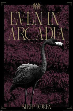 Poster Sleep Token Arcadia 61x91 5cm PP2501072 | Yourdecoration.co.uk
