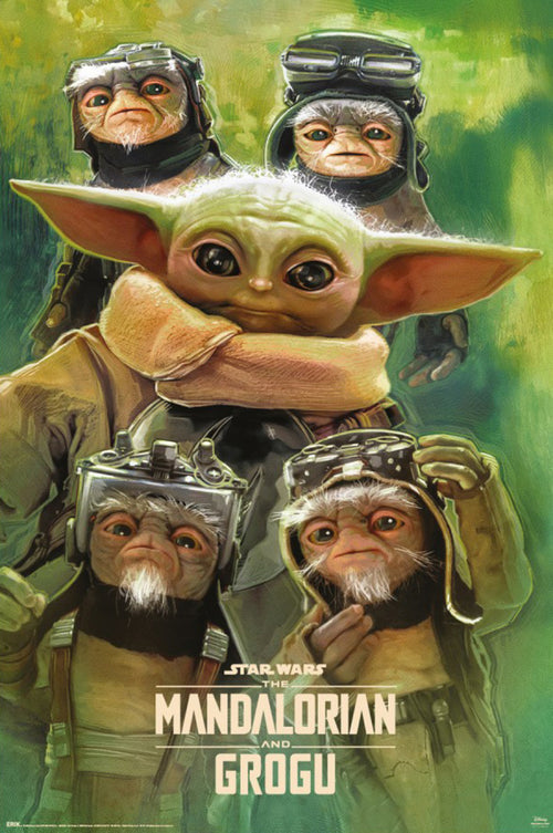 Poster Star Wars The Mandalorian And Grogu Grogu Anzellans 61x91 5cm GPE6055 | Yourdecoration.co.uk