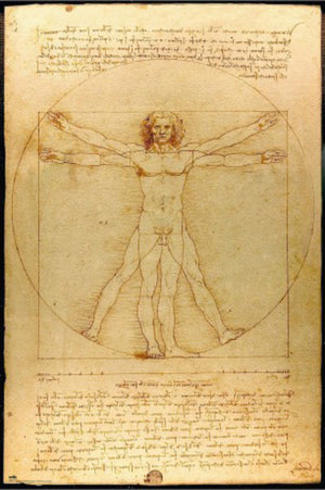 Poster Vitruvian Man 61x91 5cm Grupo Erik GPE5819 | Yourdecoration.co.uk
