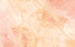 Wall Mural Candy Peach 400x250cm FLX8 001 | Yourdecoration.co.uk