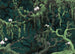 Wall Mural Orch Idee 350x250cm FLX7 019 | Yourdecoration.co.uk
