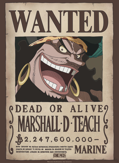 Abystyle Gbydco267 One Piece Wanted Blackbeard Poster 38x52cm | Yourdecoration.co.uk