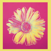 Andy Warhol Daisy 1982 Art Print 90x90cm | Yourdecoration.co.uk