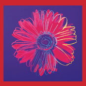 Andy Warhol Daisy 1982 Art Print 90x90cm | Yourdecoration.co.uk