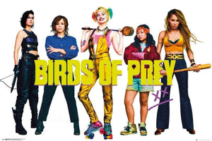 GBeye Birds of Prey Group Poster 91,5x61cm | Yourdecoration.co.uk